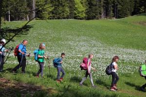 IMG_5064 (1024 x 681)